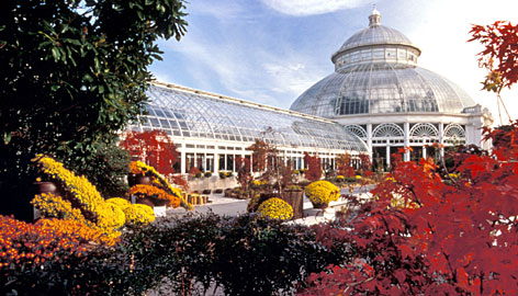 NYBG crystal