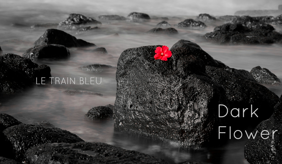 A black and white long exposure of ocean waves flowing over volcanic rock contrasted with the red Hyacinth.